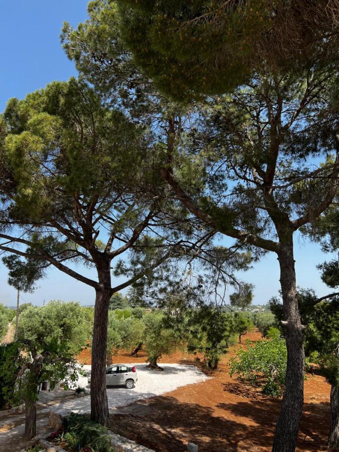 Masseria Concorrano Castellana Grotte Exterior foto